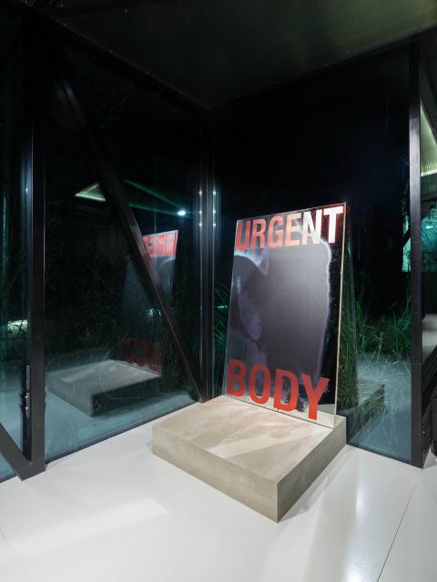 'urgent body' mirror 100x23x160 H